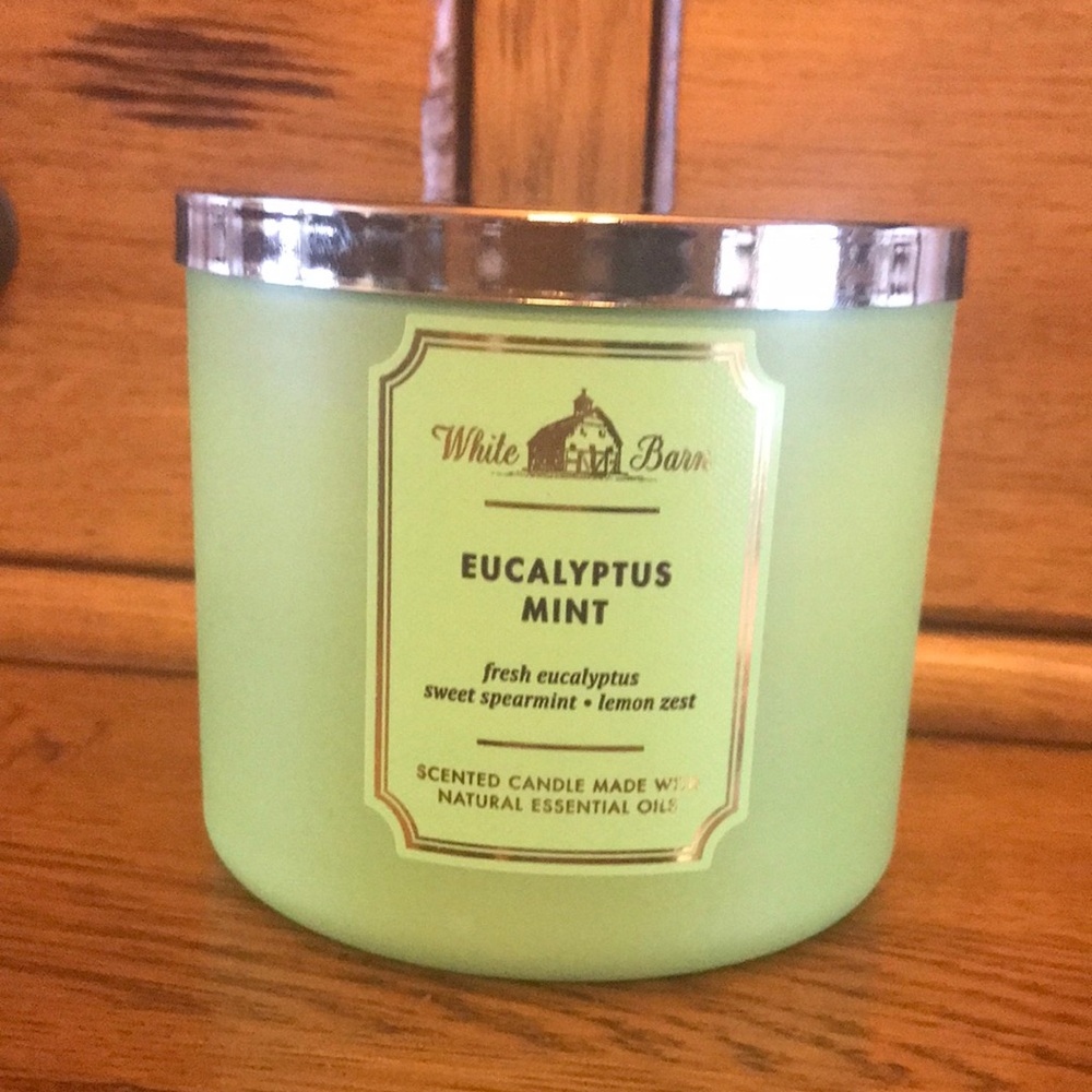 White Barn Eucalyptus Mint Candle